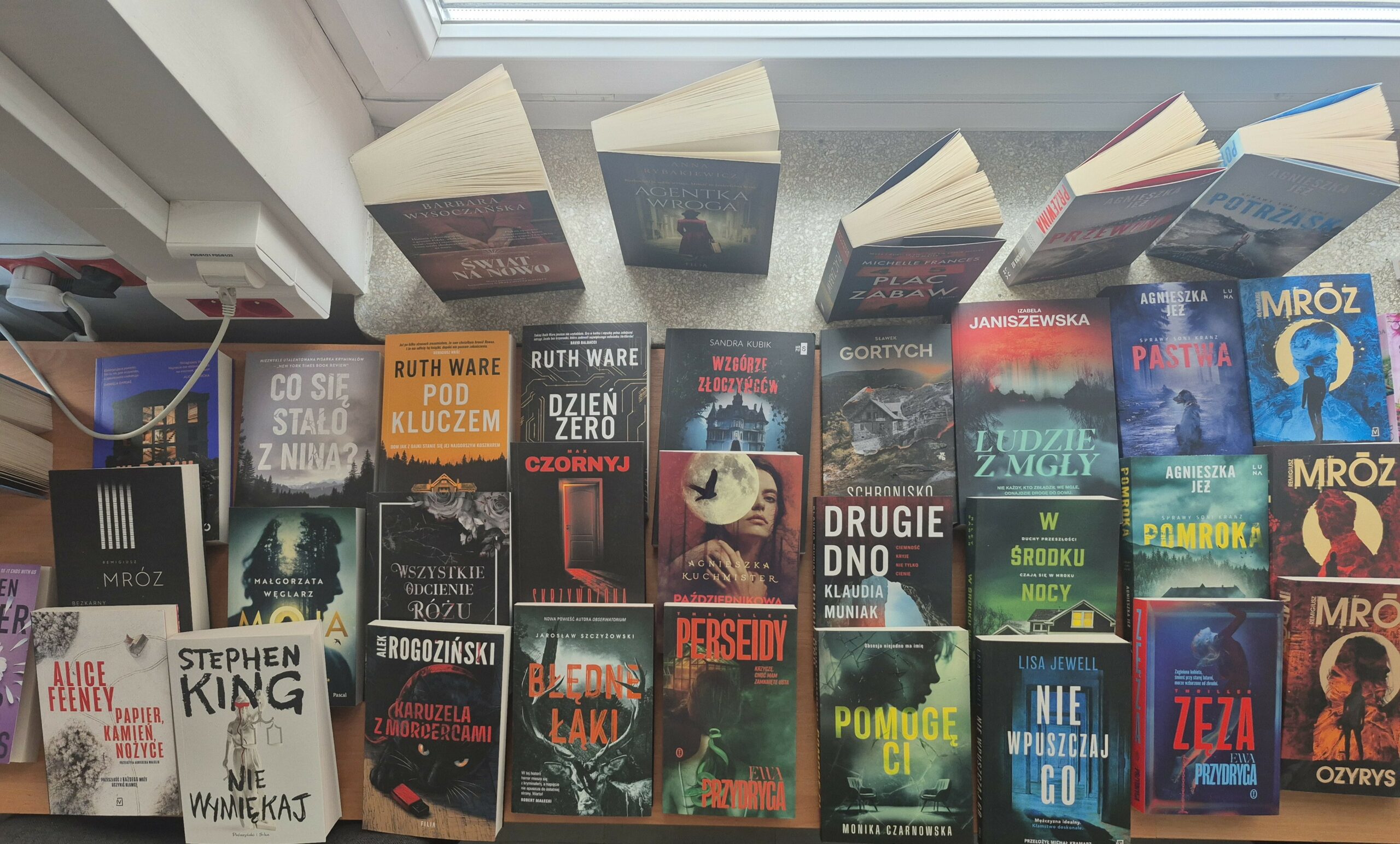 Zdjęcie przedstawia książki z gatunku kryminały, horrory, thrillery, między innymi: „Nie wymiękaj”, „Błędne łąki, „Perseidy”, „Pomogę ci”, „Zęza”, „Nie wpuszczaj go”.